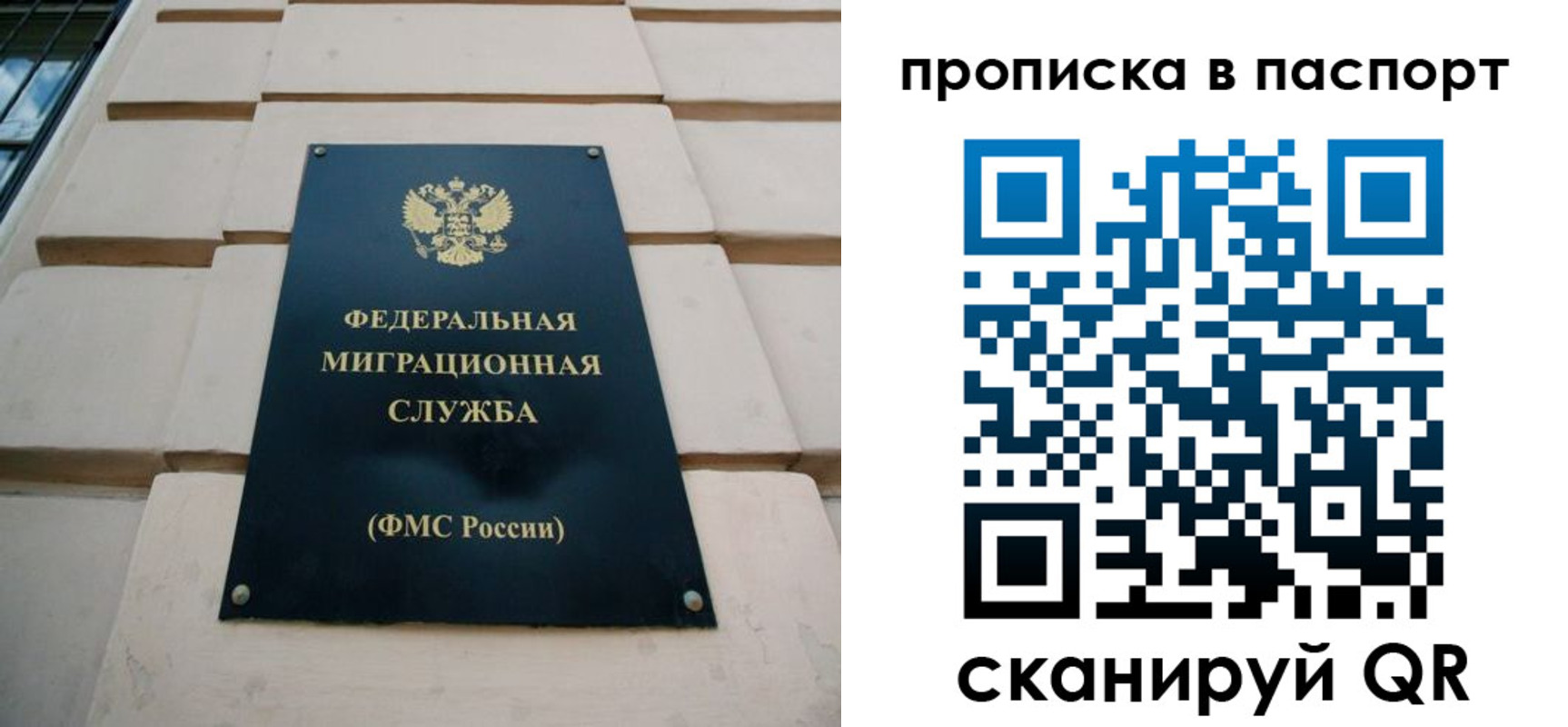 прописка для работы в Бабаево